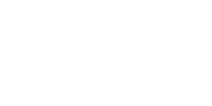 LOGO-_skynet-wit.png