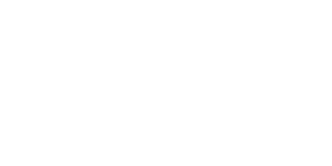 LOGO-_versus-wit.png