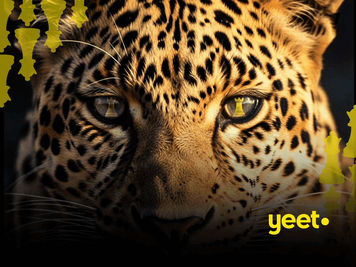 Social Media Advertising in South Africa: What Actually Converts?
